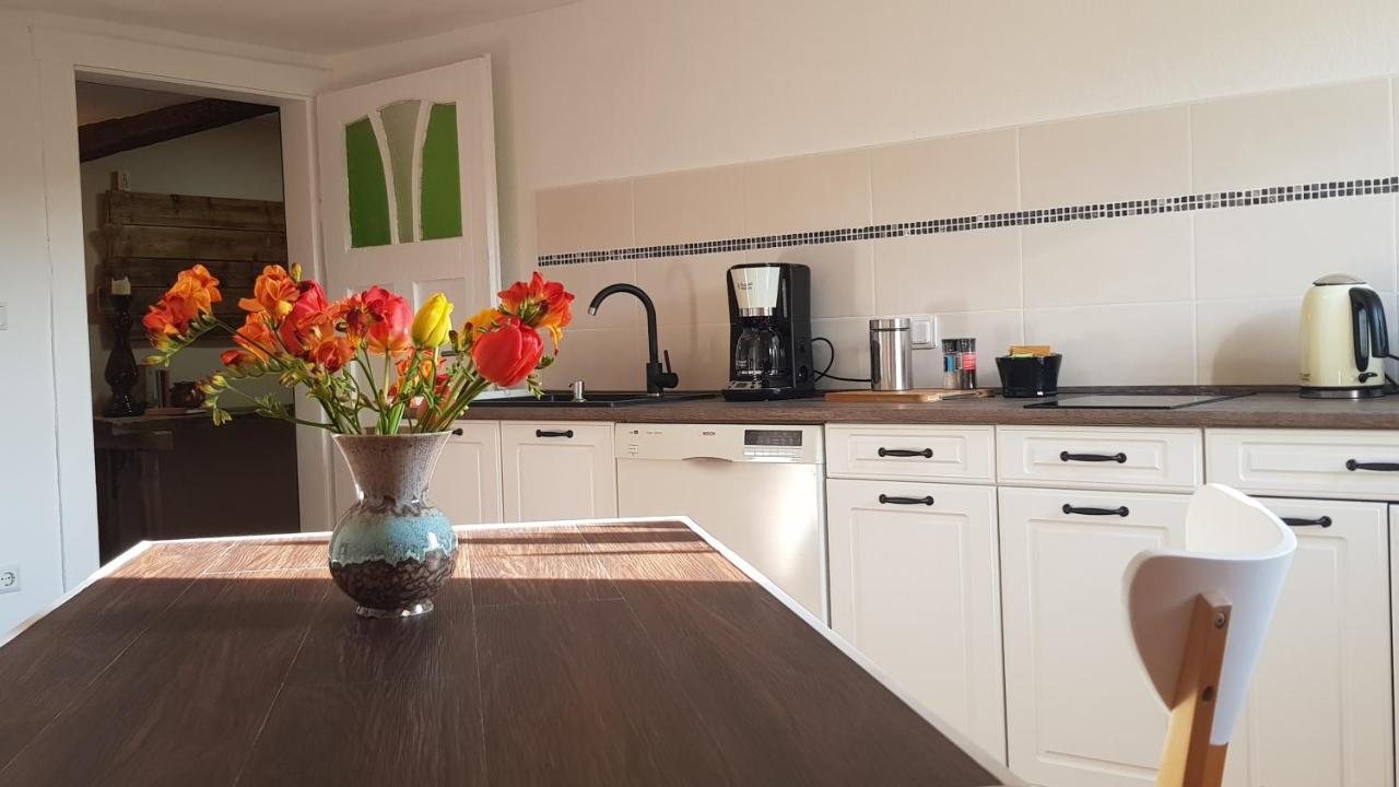 Ferienwohnung Malu Sol Im Harz - Stilvoll, Gemuetlich, Tierfreundlich - Mit Garten Allrode Εξωτερικό φωτογραφία