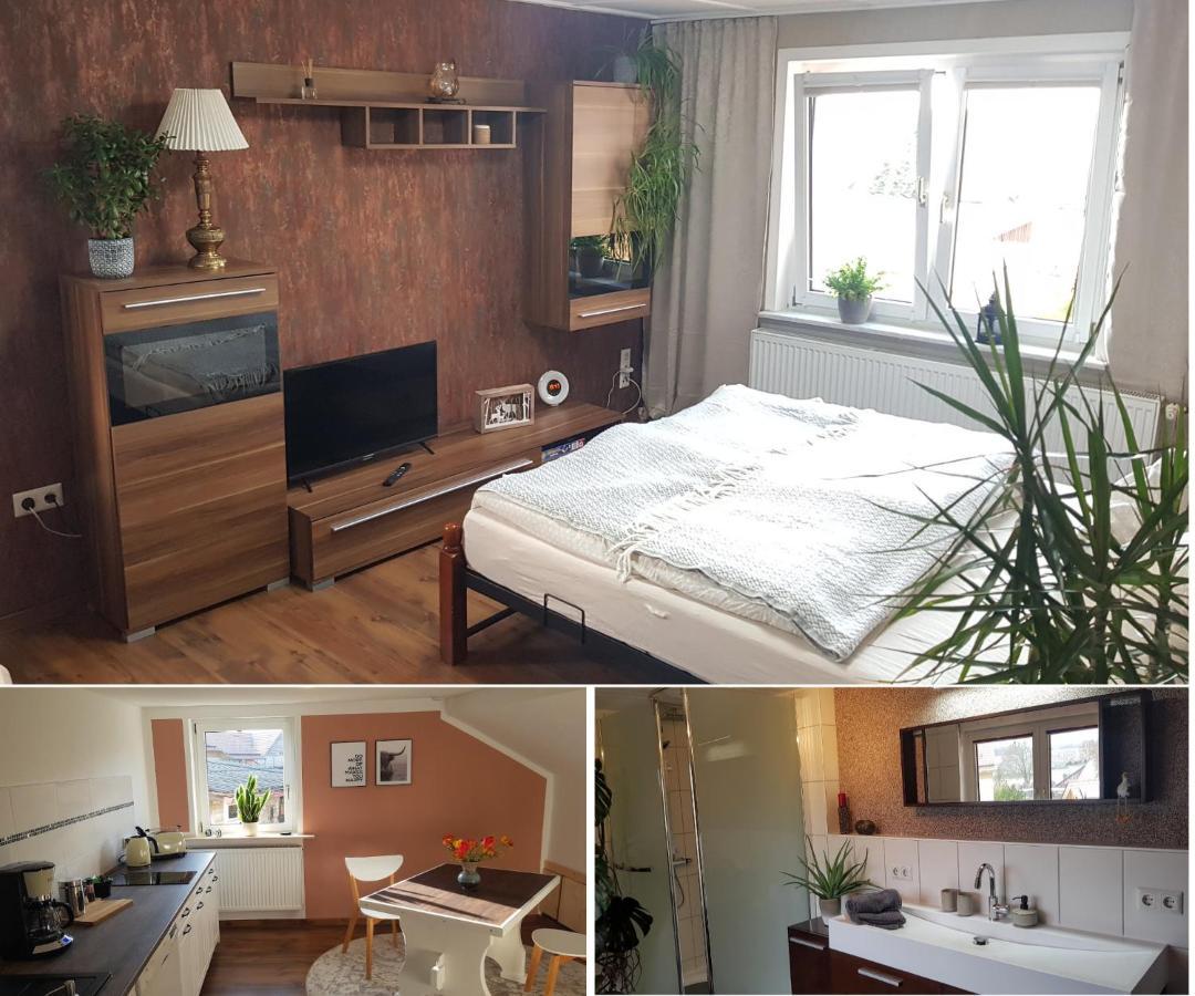 Ferienwohnung Malu Sol Im Harz - Stilvoll, Gemuetlich, Tierfreundlich - Mit Garten Allrode Εξωτερικό φωτογραφία