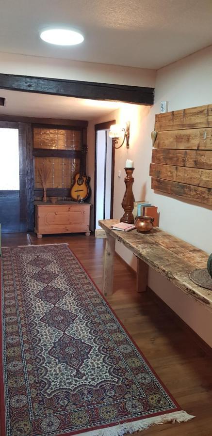 Ferienwohnung Malu Sol Im Harz - Stilvoll, Gemuetlich, Tierfreundlich - Mit Garten Allrode Εξωτερικό φωτογραφία
