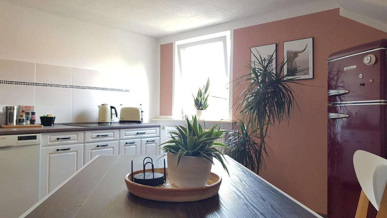 Ferienwohnung Malu Sol Im Harz - Stilvoll, Gemuetlich, Tierfreundlich - Mit Garten Allrode Εξωτερικό φωτογραφία