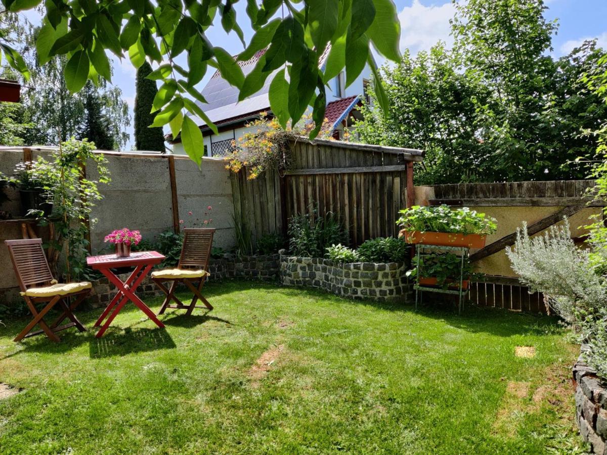 Ferienwohnung Malu Sol Im Harz - Stilvoll, Gemuetlich, Tierfreundlich - Mit Garten Allrode Εξωτερικό φωτογραφία